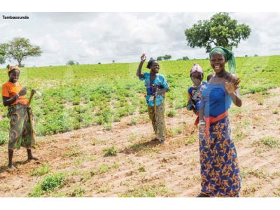 Amélioration de la Croissance des Cultures : Le Parcours d'Oumar Diouf avec l'Irrigation Goutte-à-Goutte DripTime ®